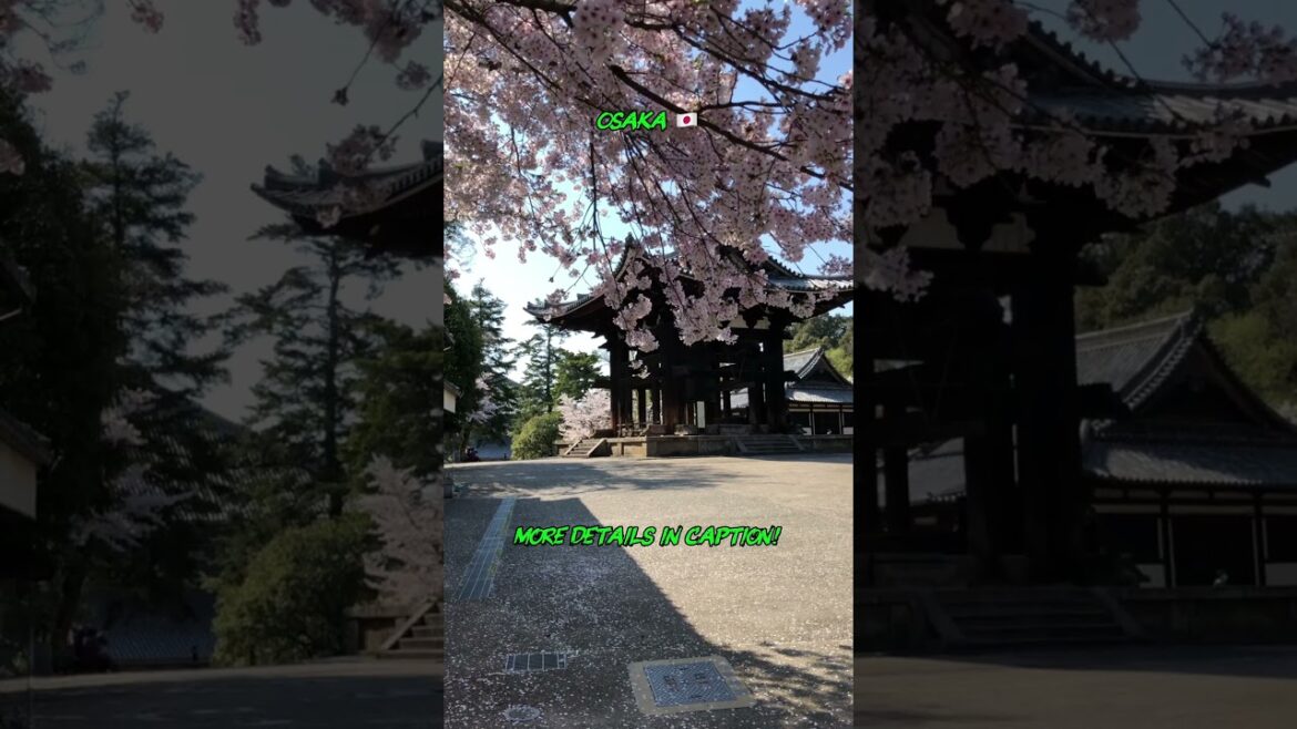 Would you explore Osaka first or Tokyo? ๐ #travelgoals #travel #wanderscope Would you explore Osaka first or Tokyo? ๐ #travelgoals #travel #wanderscope