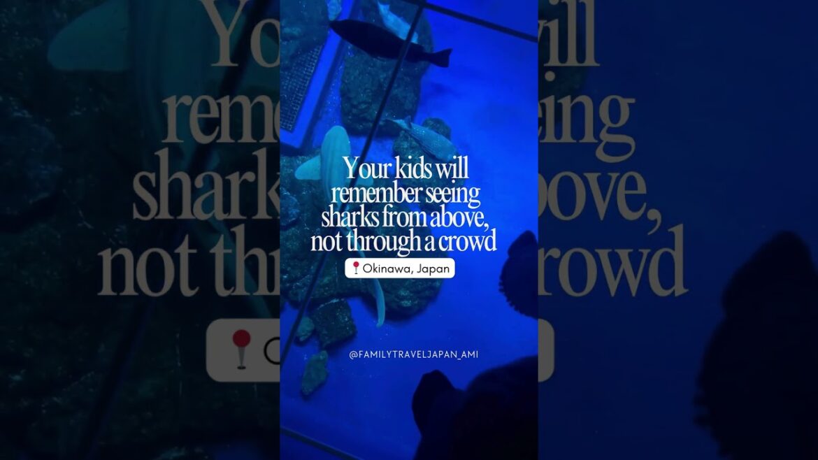 Stressed about Japan’s Trip with kids? To avoid crowds, go to Okinawa!  #traveljapan #japanwithkids Stressed about Japan's Trip with kids? To avoid crowds, go to Okinawa!  #traveljapan #japanwithkids