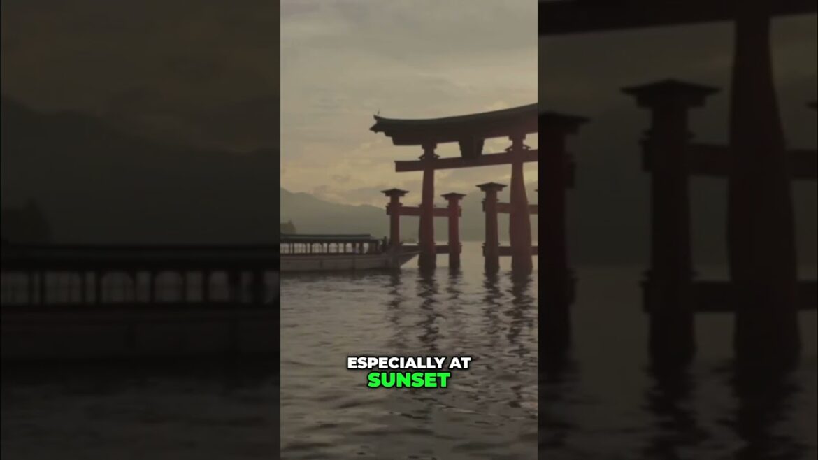 Japan’s Gems: Explore Hiroshima & Osaka’s Foodie Paradise! #shorts Japan's Gems: Explore Hiroshima & Osaka's Foodie Paradise! #shorts
