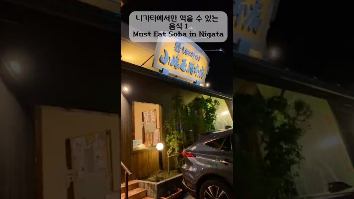 #일본 #니가타 #헤기소바 #해초 #여행 #관광 #먹방 #japan #nigata # travel #hegisoba #mukbang #tour #seaweed #일본 #니가타 #헤기소바 #해초 #여행 #관광 #먹방 #japan #nigata # travel #hegisoba #mukbang #tour #seaweed