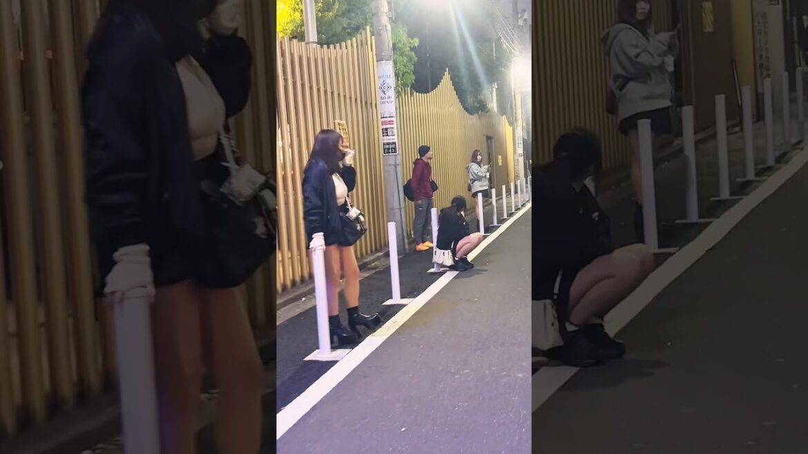 Okubo park #kabukicho #shinjuku #okubopark #shortvideo #shorts #shortviral #shortsfeed