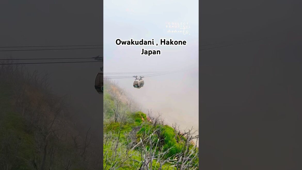 Owakudani: Hakone’s Smoldering Gem Where Black Eggs Add Years to Your Life "Owakudani: Hakone's Smoldering Gem Where Black Eggs Add Years to Your Life"