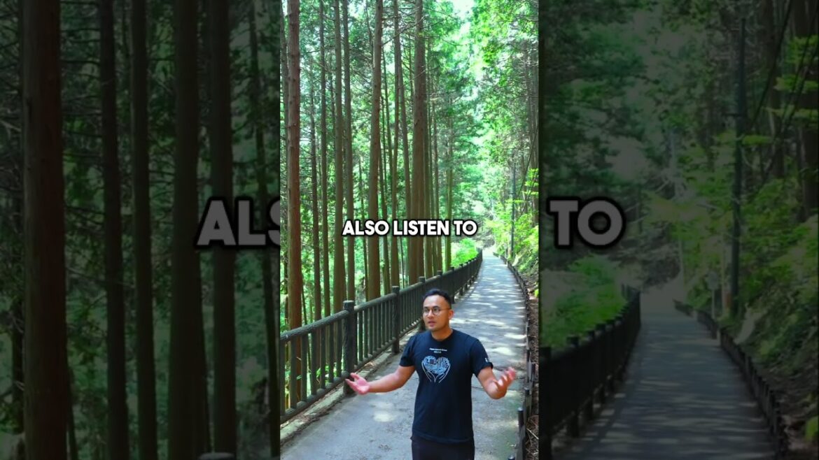 Escape Tokyo: Mount Fuji & Lavender Fields, Your Nature Getaway!