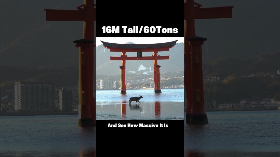 ⛩️✨ Itsukushima Shrine & Floating Torii Gate | Miyajima, Hiroshima 🇯🇵 ⛩️✨ Itsukushima Shrine & Floating Torii Gate | Miyajima, Hiroshima 🇯🇵