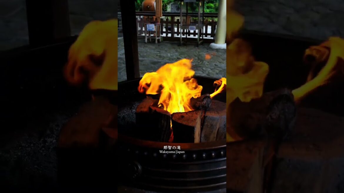 和歌山県⛩️📍                        Wakayama, japan  Wakayama Shrine #favourite #foryou #fypシ゚ #wakayama