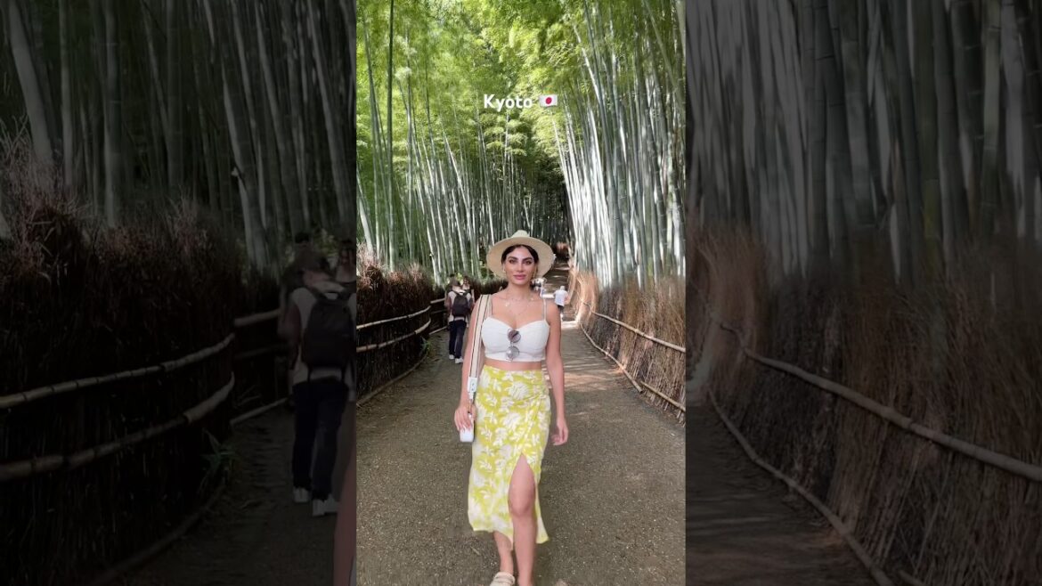 Best things to do in Kyoto Japan 🇯🇵 📍Bamboo forest