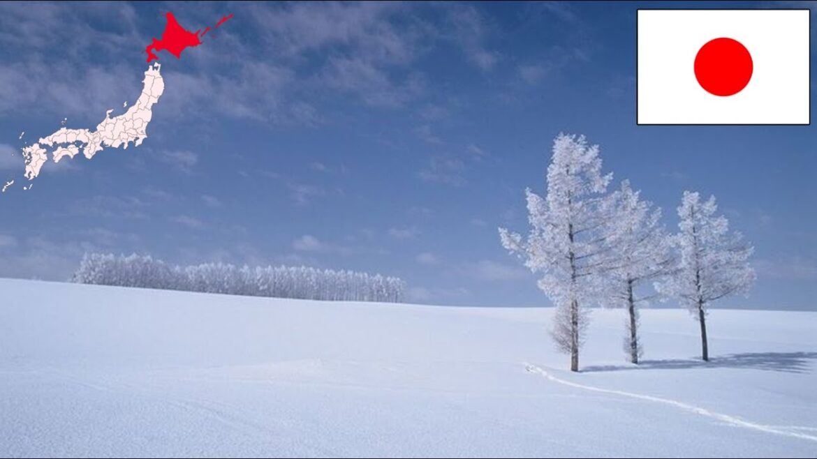 【Japanese Trip】things to do in Hokkaido