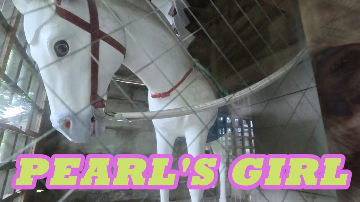 【AKITA】pearl's girl /UNDER WORLD