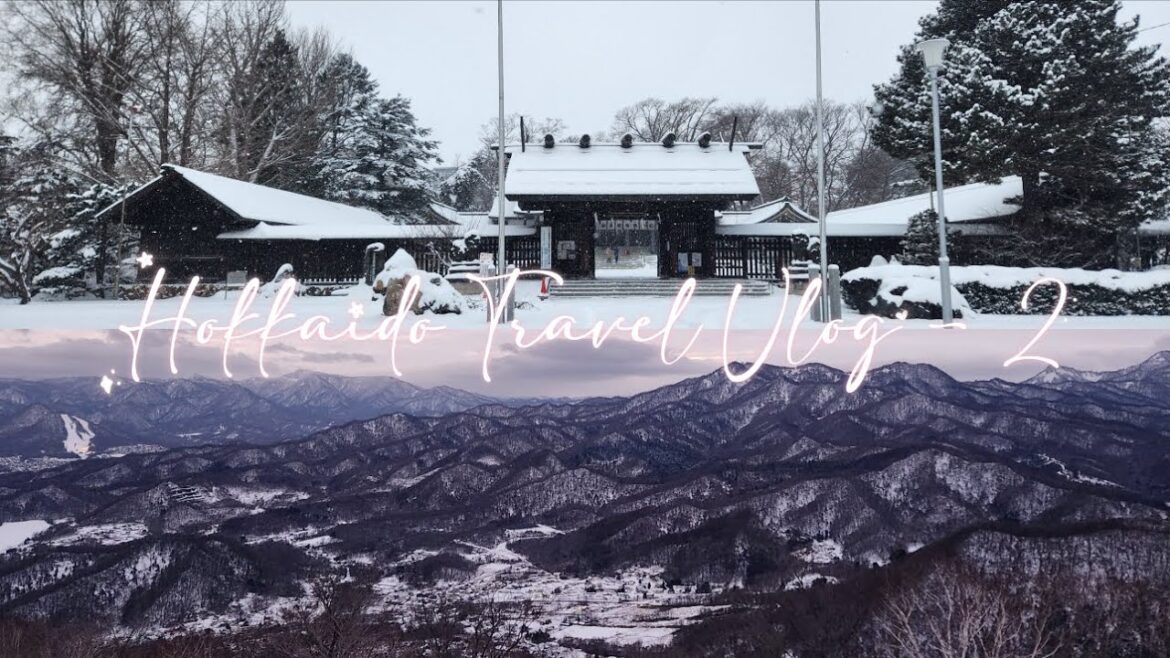 Hokkaido (Japan) Winter Travel Vlog 🍛 Local Food ft. Best Soup Curry?! | Part 2 Hokkaido (Japan) Winter Travel Vlog 🍛 Local Food ft. Best Soup Curry?! | Part 2