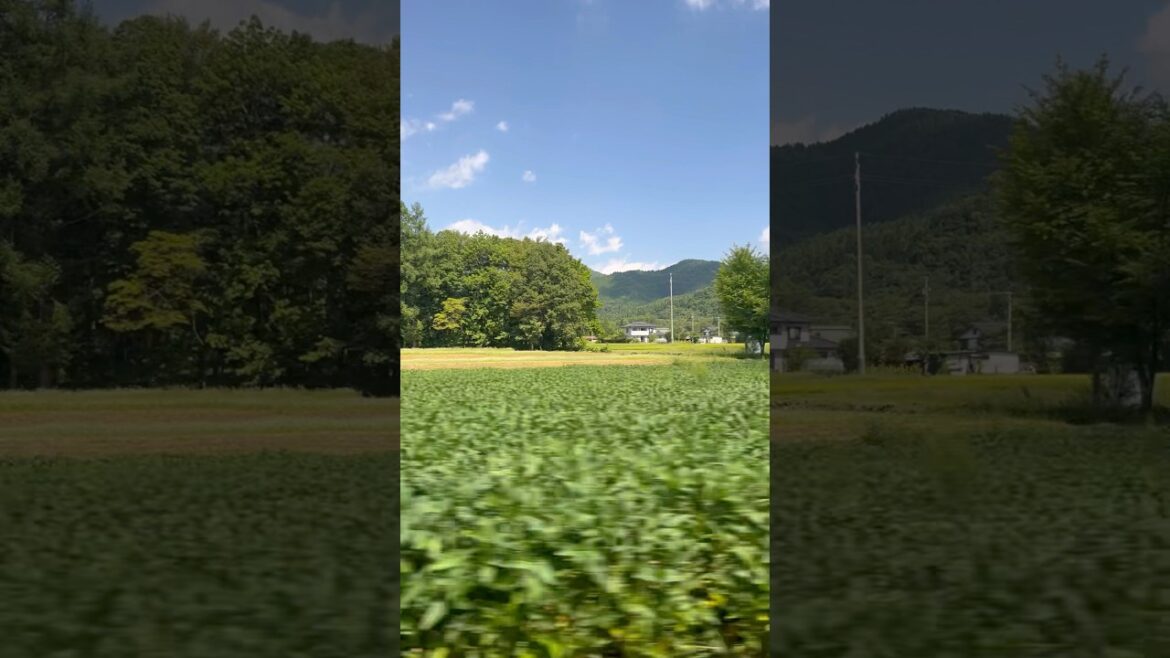 How I wish we stayed longer in Nagano. It’s so peaceful. Epitome of slow living.🥺 How I wish we stayed longer in Nagano. It’s so peaceful. Epitome of slow living.🥺