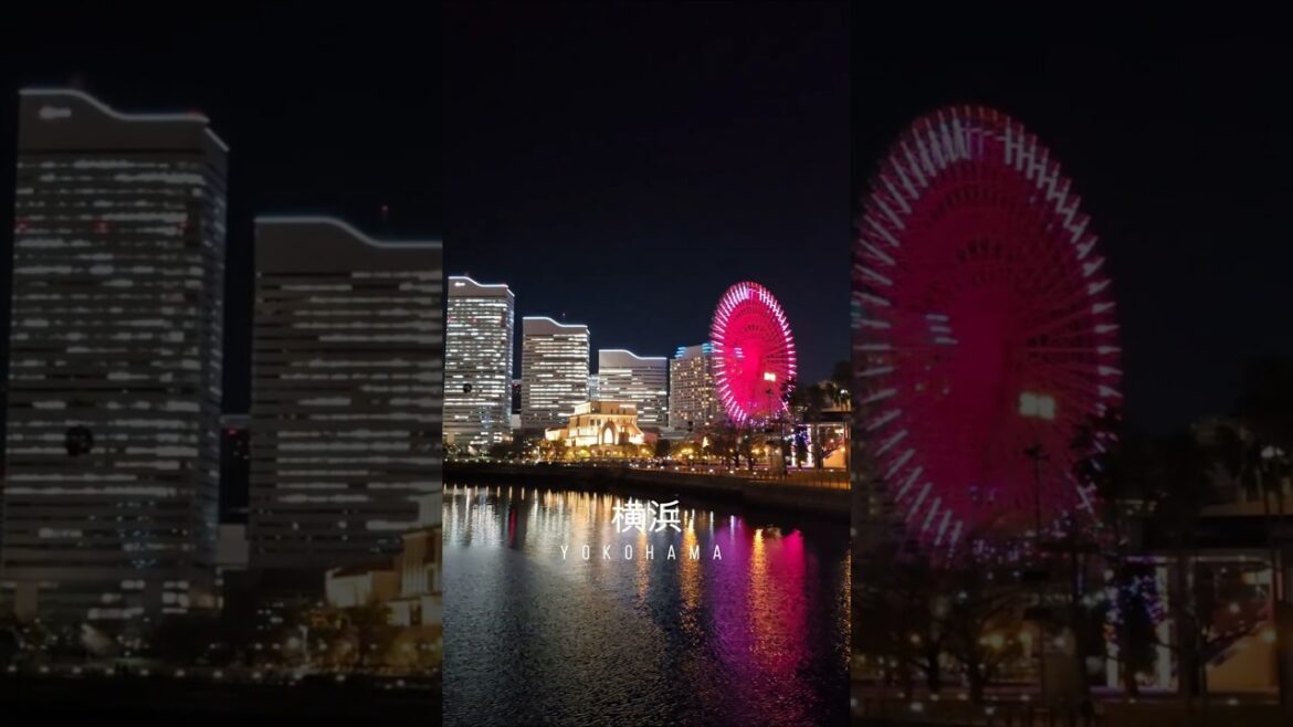 Yokohama Night View
