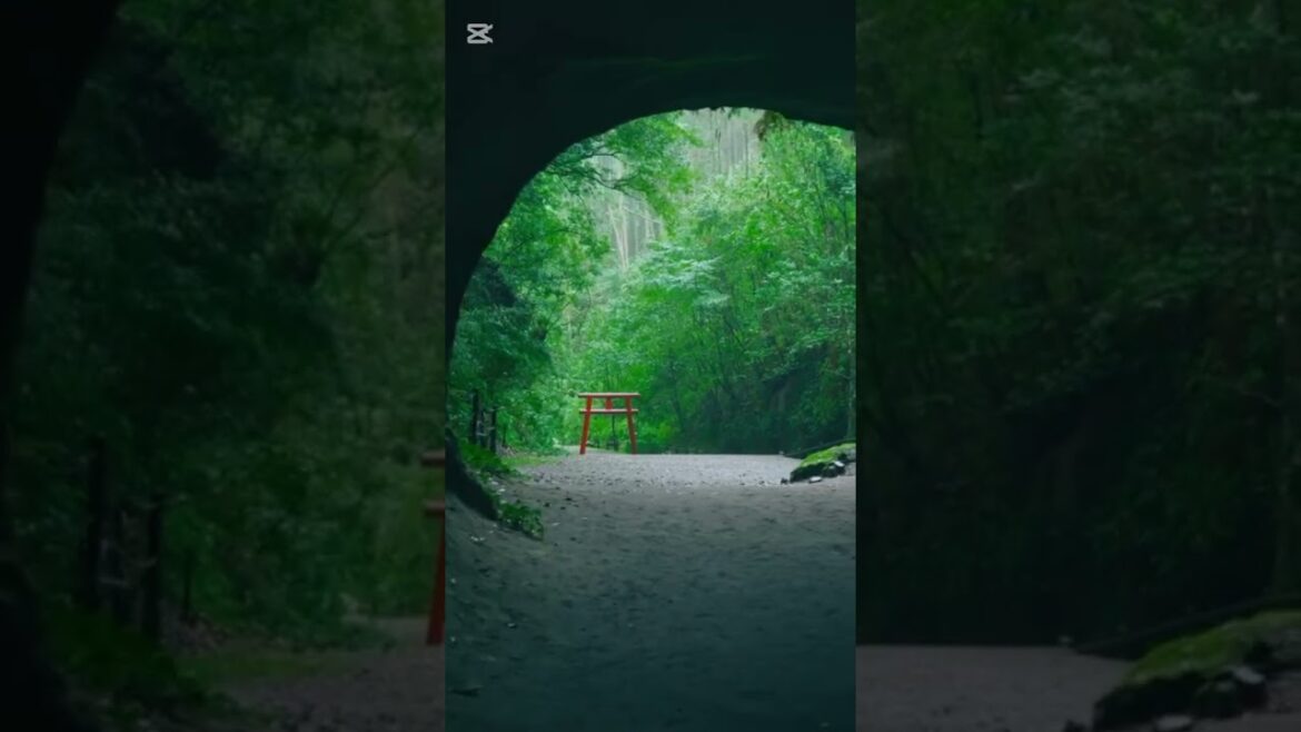 Kagoshima#Youtuber#youtubeshorts#video#shorts#viral#explorepage#wanderlust#culture#japan #kagoshima Kagoshima#Youtuber#youtubeshorts#video#shorts#viral#explorepage#wanderlust#culture#japan #kagoshima