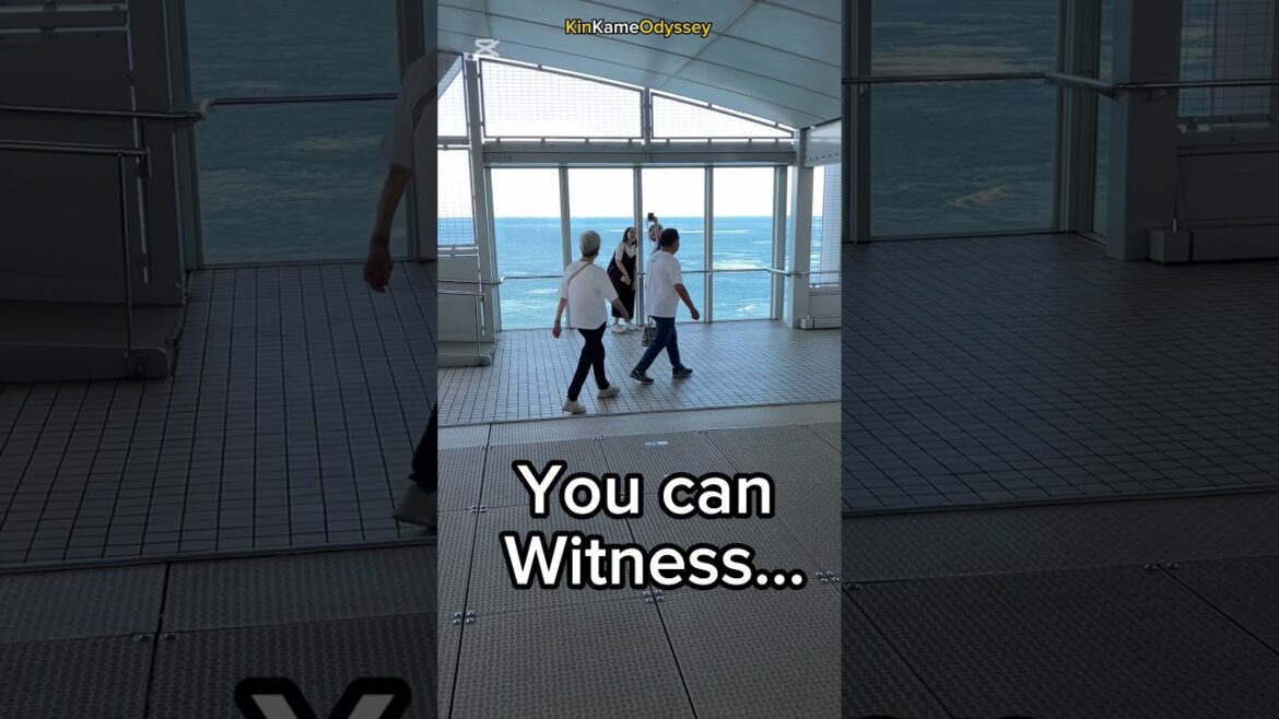 Discovering Naruto Strait: Japan’s Secret Force Unleashed Discovering Naruto Strait: Japan’s Secret Force Unleashed