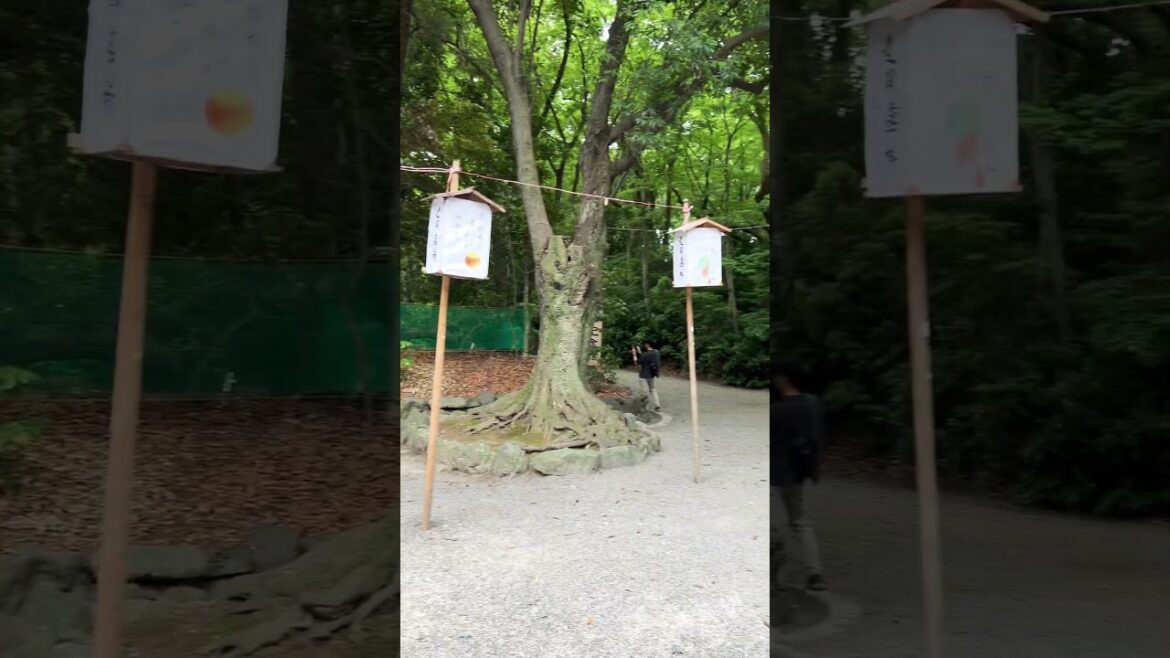 【NAGOYA】Must-See Tourist Attraction - Atsuta Jingu Shrine