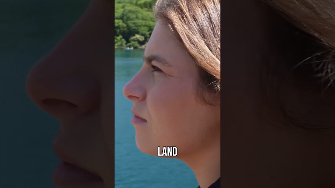 Lake Ashi's Beauty  Where Nature and History Collide!