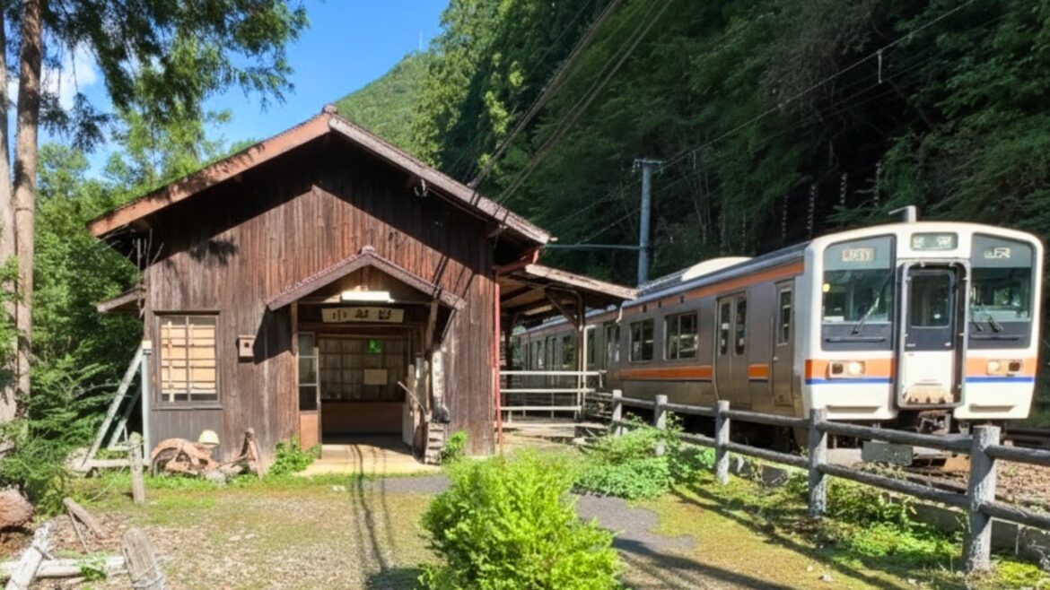 Exploring Japan’s Top Remote Stations on Its Most Secluded Train Line🚞