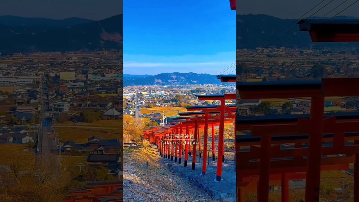 福岡日本 📍⛩⛩️            Fukuoka, Ukiha Inari SHrine View of fukuoka #favourite #foryou #fypシ゚ #fukuoka