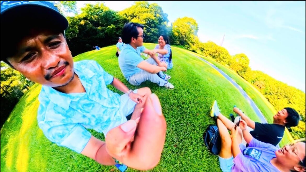 Traveling vlog || Meiji Jingu park Tokyo #japan