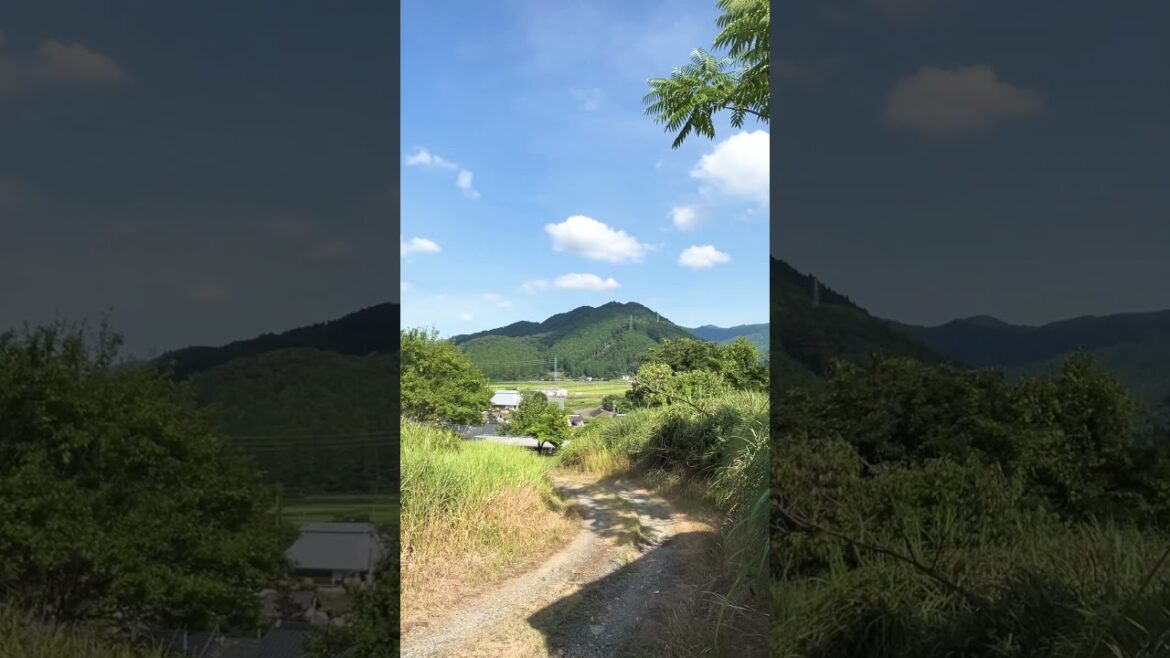 【KYOTO】Let’s Enjoy Rural Kyoto Summer! - Ayabe district
