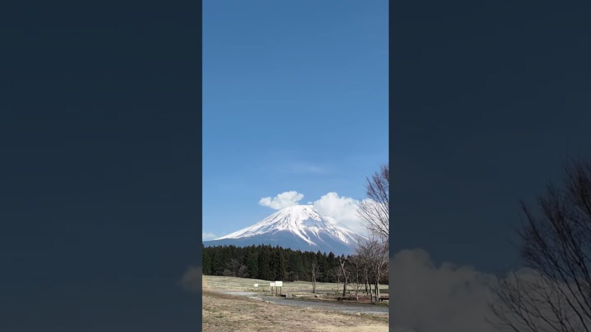 Mount Fuji #mountfujiview #shizuoka
