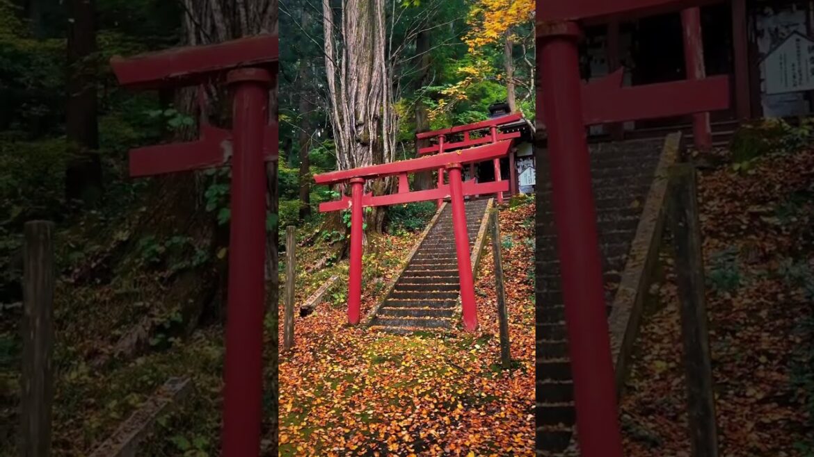 Aomori (japan) #japanlife #travel