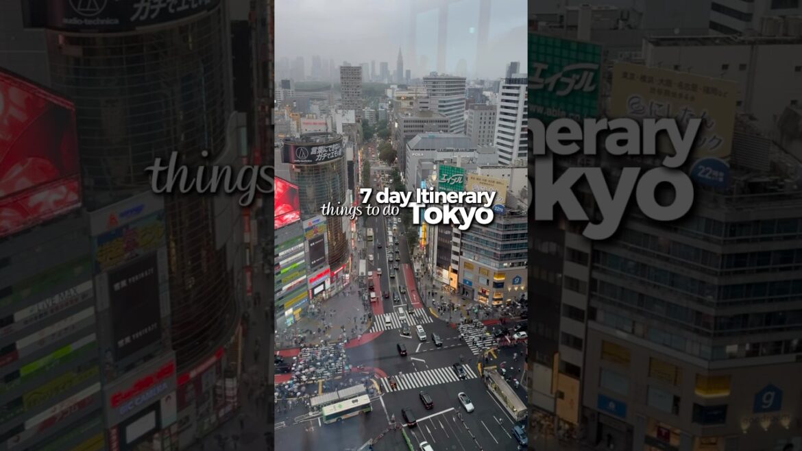 TOKYO GUIDE - things to do in Tokyo🗼🍣