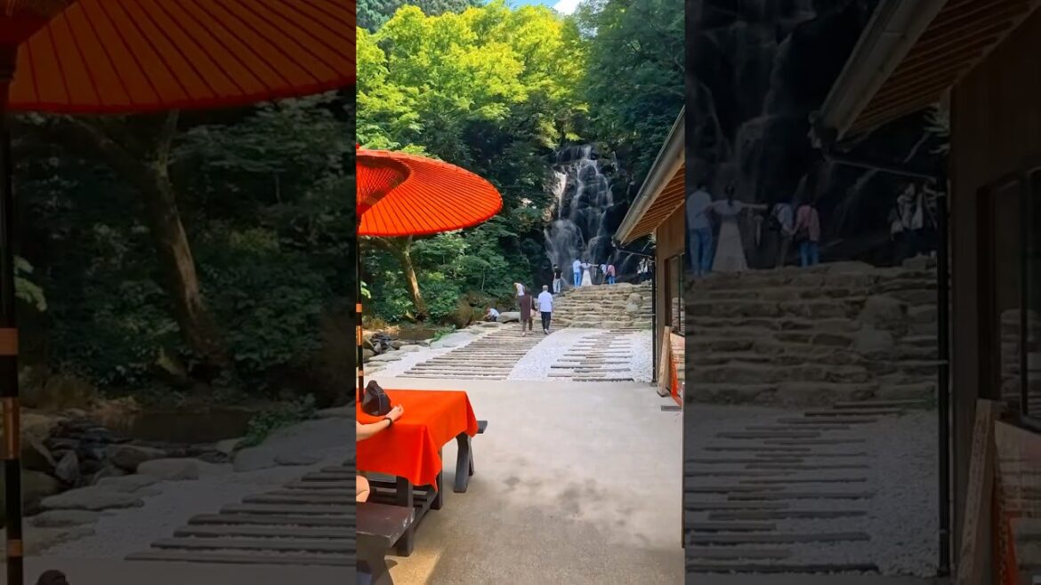 Hidden Waterfall in Itoshima | Japan’s Secret Nature Spot Hidden Waterfall in Itoshima | Japan’s Secret Nature Spot