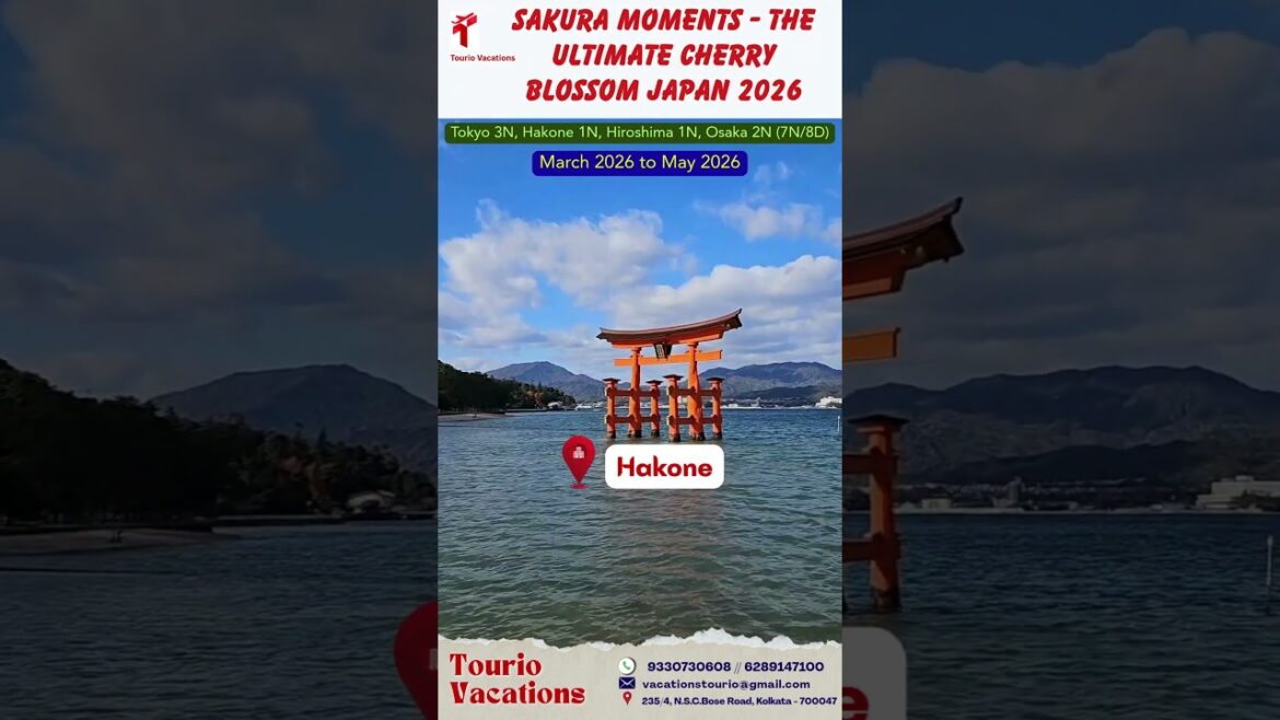 MUST-SEE! 7 Days of Tokyo & Osaka Cherry Blossom Magic 🇯🇵 #sakura #shorts #travelitinerary MUST-SEE! 7 Days of Tokyo & Osaka Cherry Blossom Magic 🇯🇵 #sakura #shorts #travelitinerary