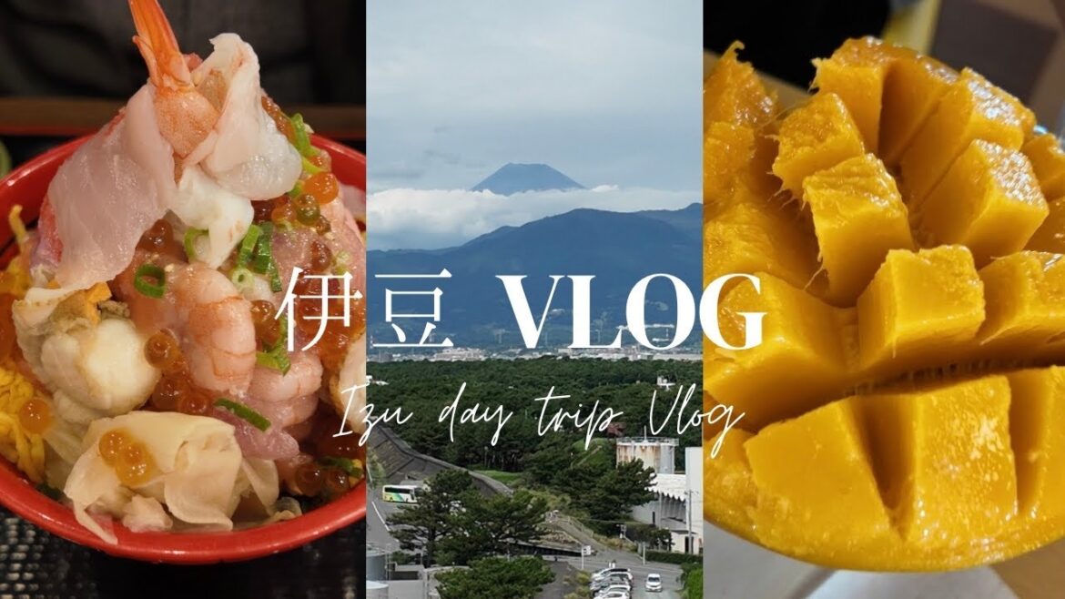 【週末日帰り旅】日帰り伊豆旅行🚗｜ マンゴー食べ放題｜アウトレット🛍️｜海鮮丼｜温泉♨️｜