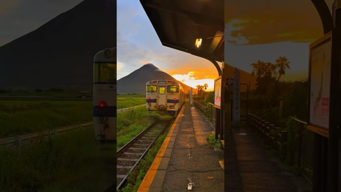 Kagoshima Japan #shorts #travel ๐๏ธ Kagoshima Japan #shorts #travel ๐๏ธ