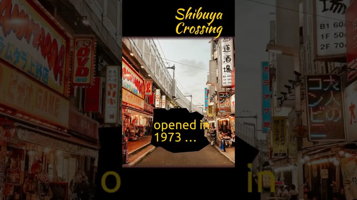 Micro Tour TOKYO💛 @TourSmallTowns Micro Tour TOKYO💛 @TourSmallTowns