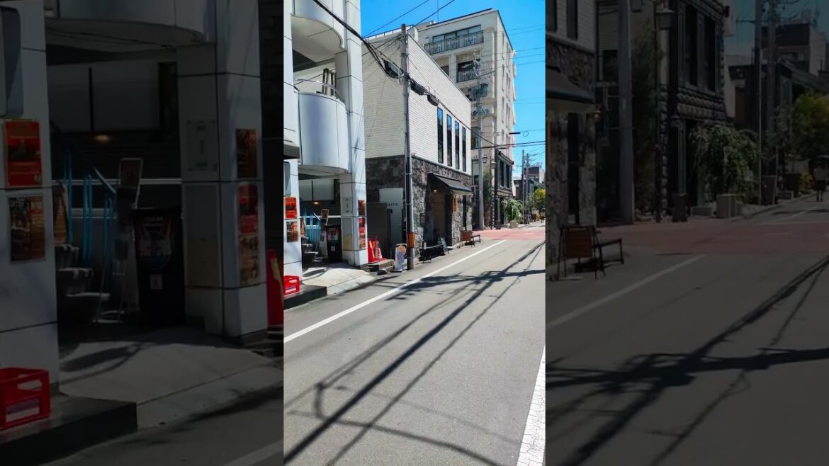 karaage in Shizuoka, Japan
