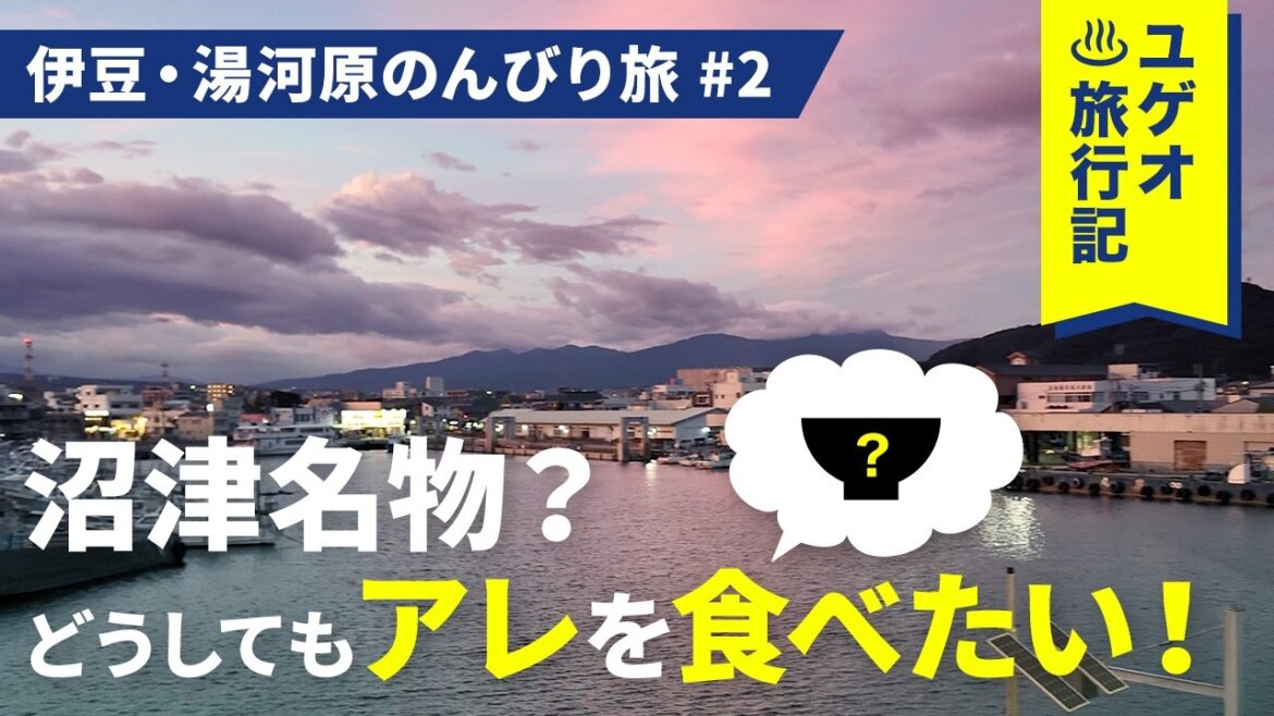伊豆・湯河原のんびり旅 #2｜沼津名物？どうしても沼津でアレを食べたい！【ユゲオ♨︎旅行記】