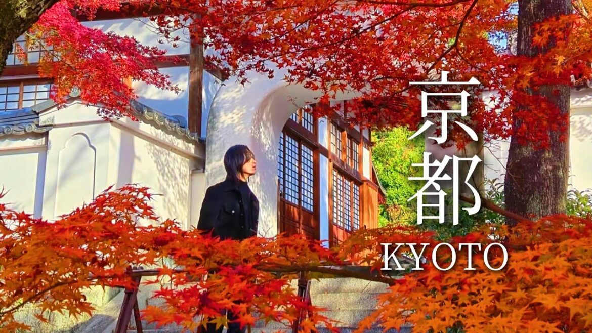 Kyoto in Autumn | Top Maple Leaf Destinations | Japan Travel Vlog Kyoto in Autumn | Top Maple Leaf Destinations | Japan Travel Vlog