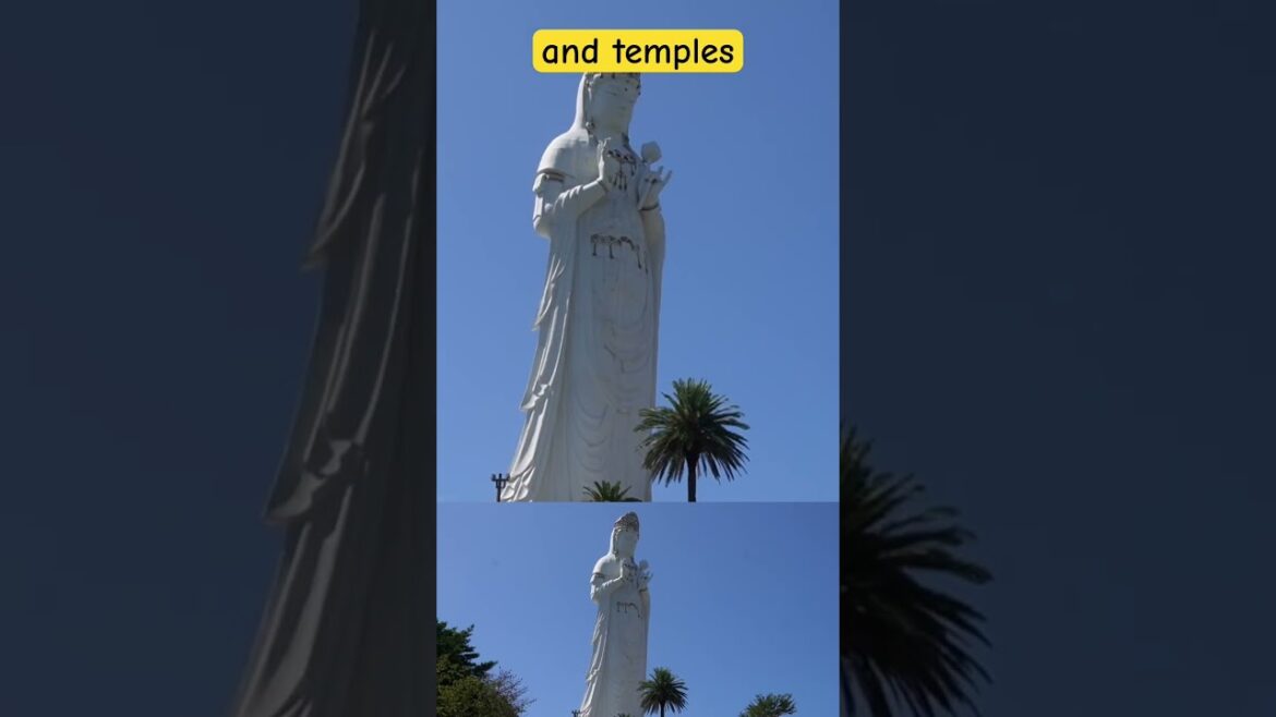 Temple hopping in Japan’s spiritual island 🏝️ #traveljapan #japanesefood #shikoku