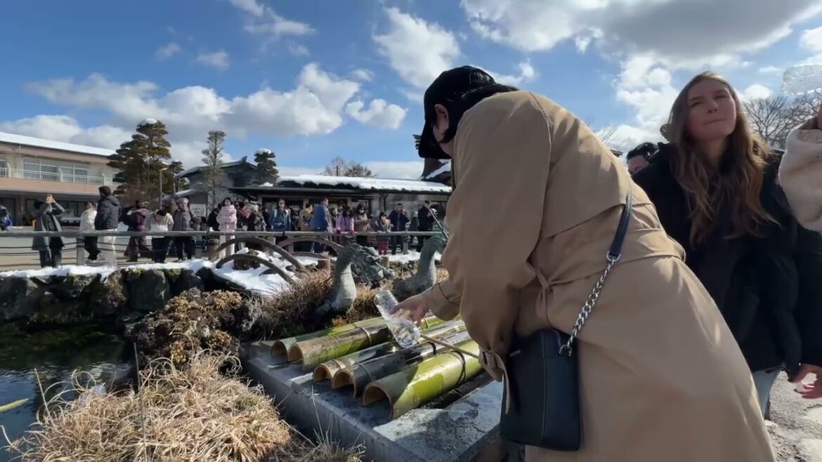 Klook's Mt. Fuji Popular Scenic Spots Day Tour