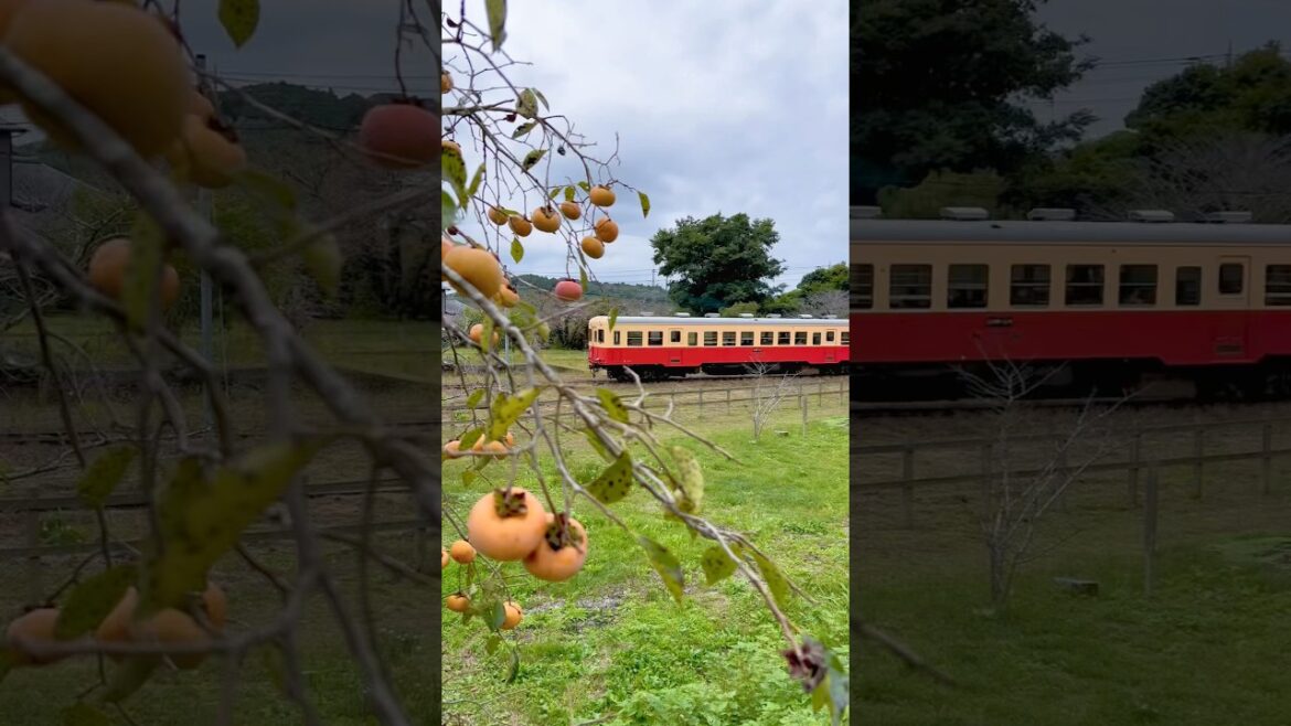 Local Japanese Railway