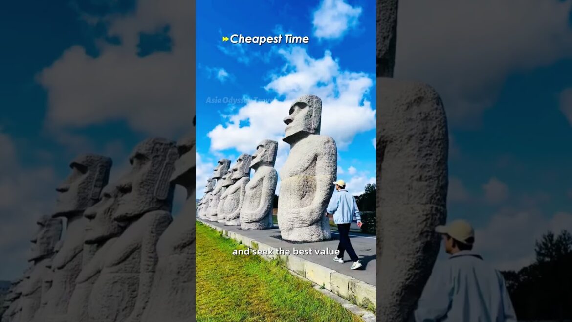 Hokkaido: Summer vs  Winter | Which Season is Actually Best for You? A Travel Guide