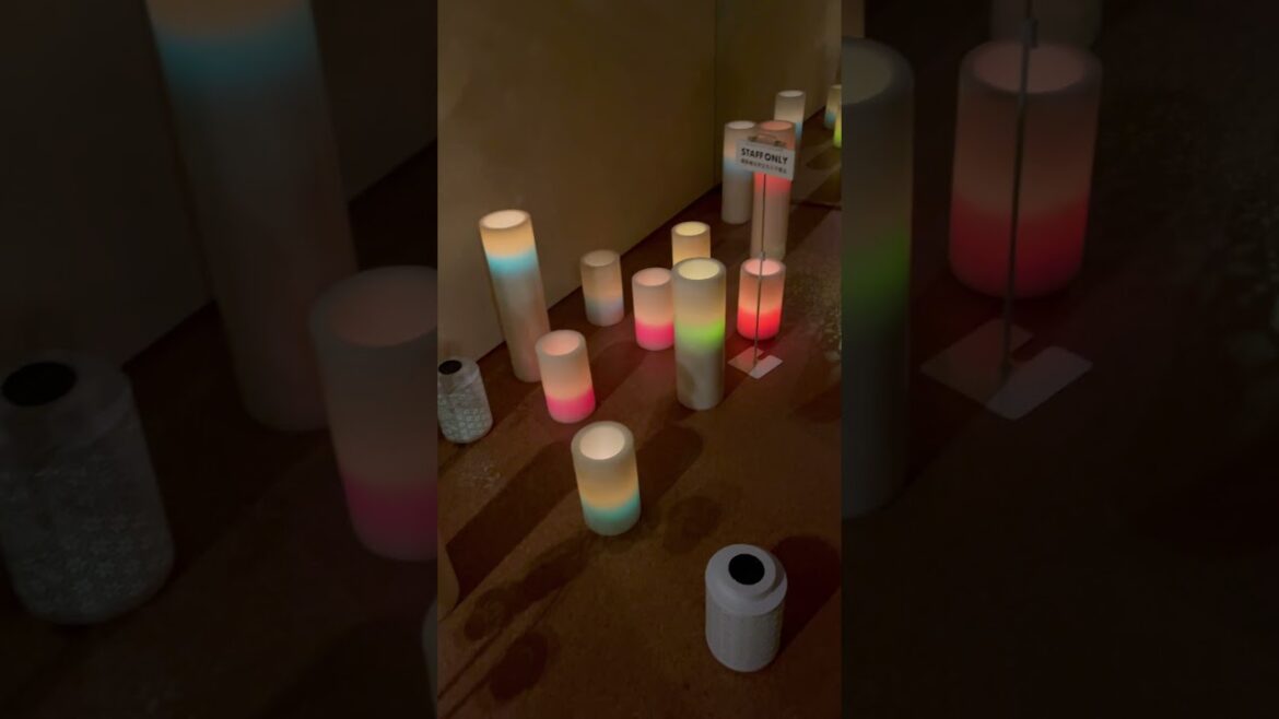 Summer time # candle museum visit#2025 #travel #cutebaby #nagoya #mieken # Kameyama #japan #viral