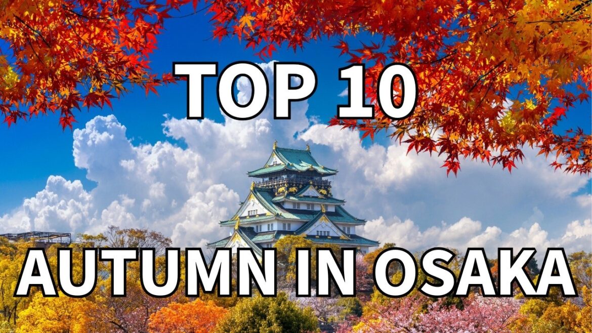 Osaka Autumn TOP10 Must See Spots Osaka Autumn TOP10 Must See Spots