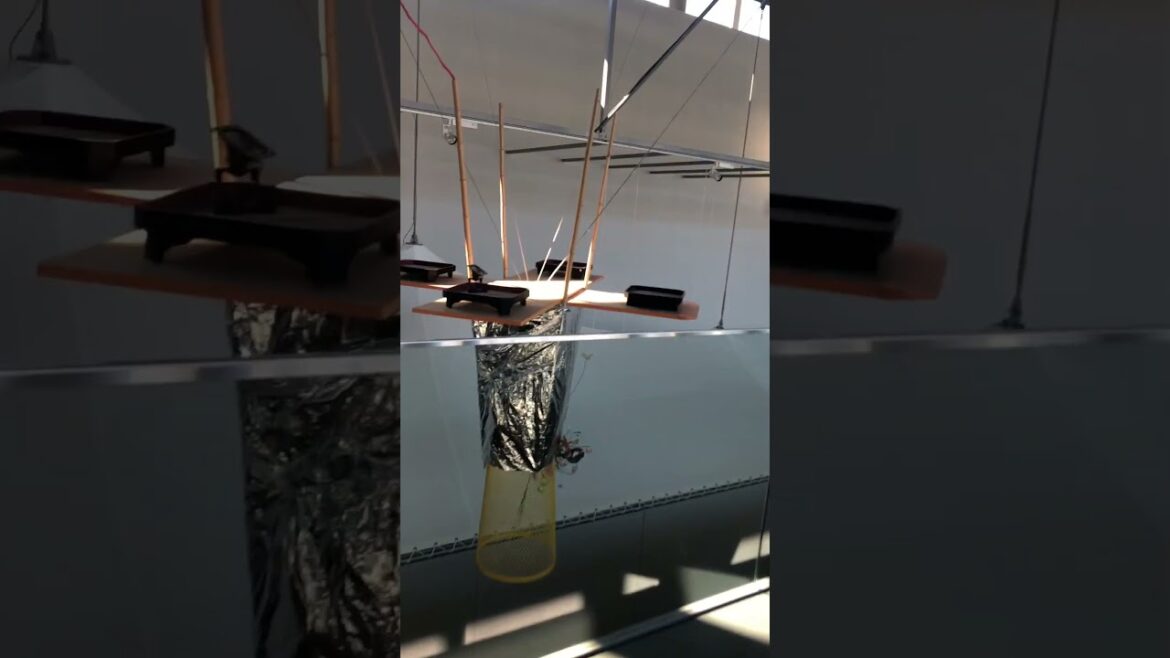 Explore a Japanese “Art Field”! Explore a Japanese "Art Field"!