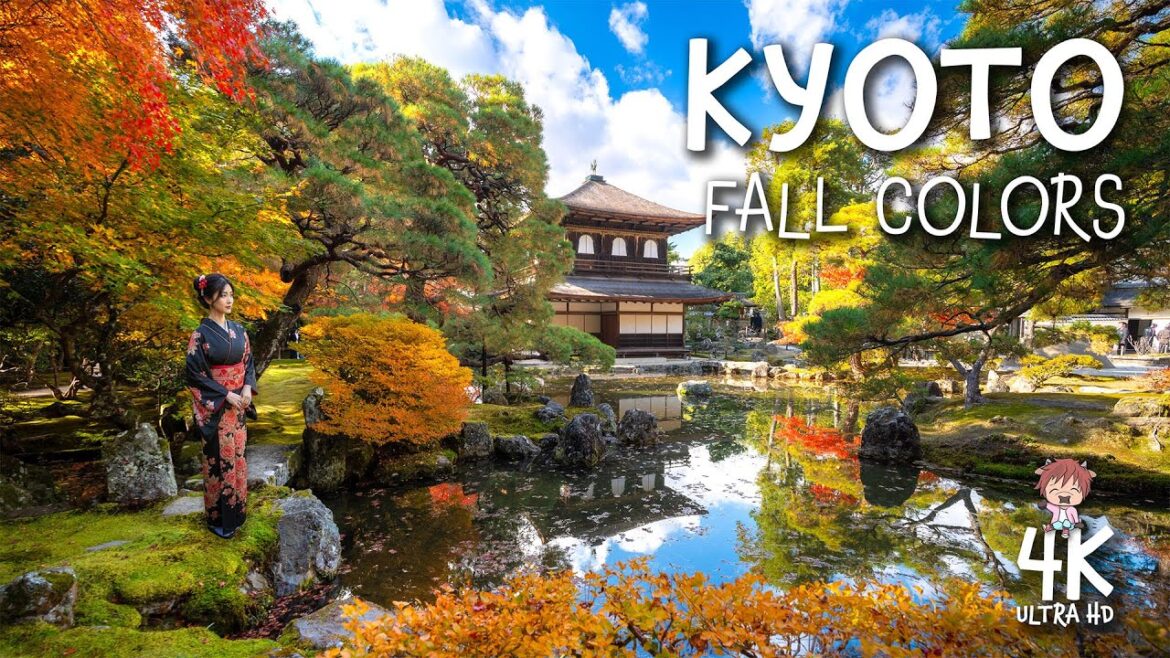 KYOTO, Japan Beautiful Fall Colors 🍁 Peaceful 4K Walking Tour through brilliant autumn foliage KYOTO, Japan Beautiful Fall Colors 🍁 Peaceful 4K Walking Tour through brilliant autumn foliage