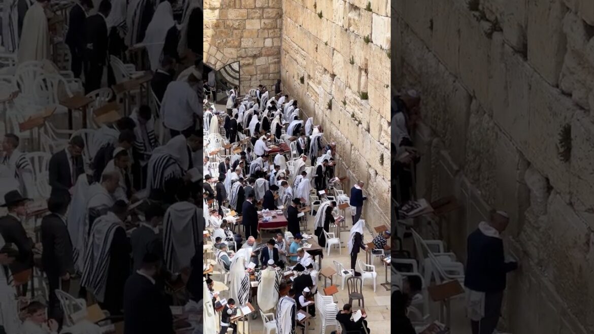 Jews praying during Passover at the Western Wall in Jerusalem, Israel 2025 Jews praying during Passover at the Western Wall in Jerusalem, Israel 2025