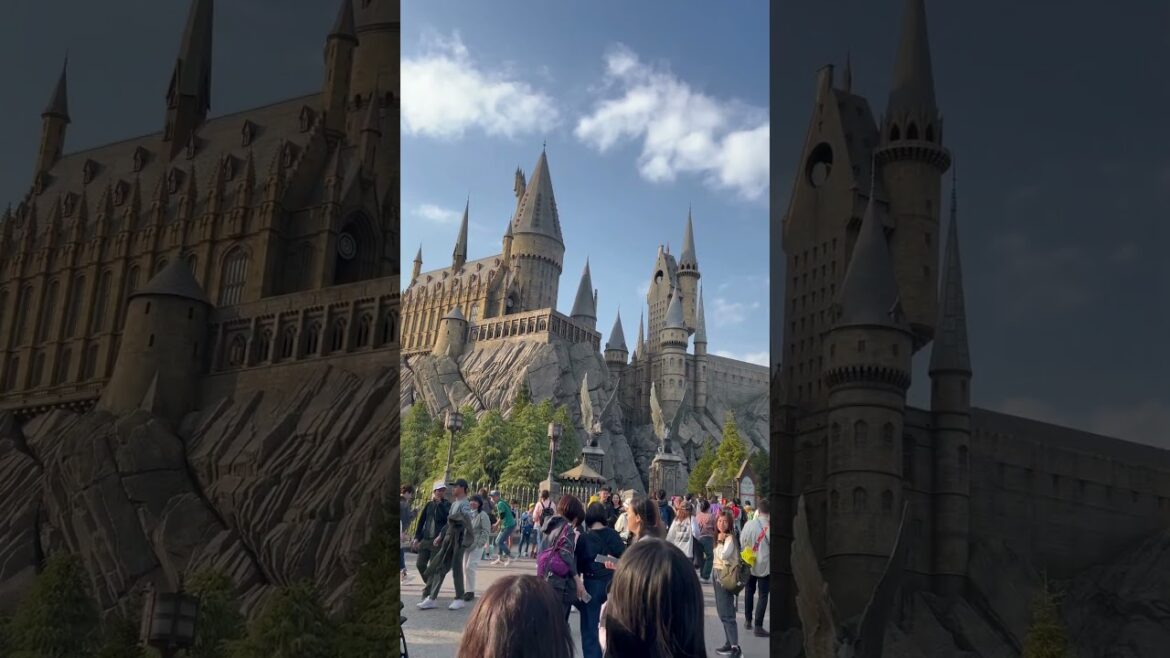 【OSAKA】Must-See Tourist Attractions - USJ_Wizzarding Henry Potter