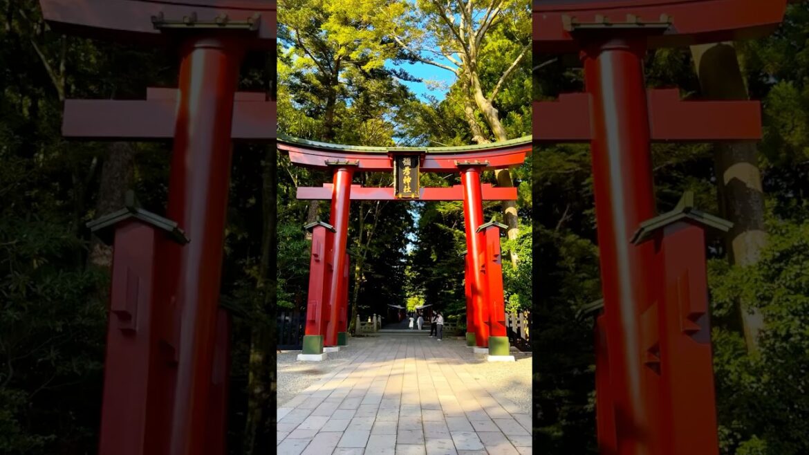 This is a very beautiful shrine in Niigata. It is known as a power spot. #japantravel #niigata