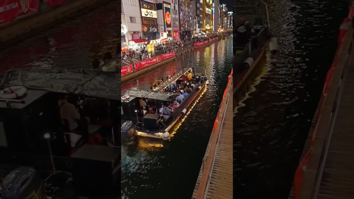 Crusise ride dotonbori Osaka Japan🇯🇵