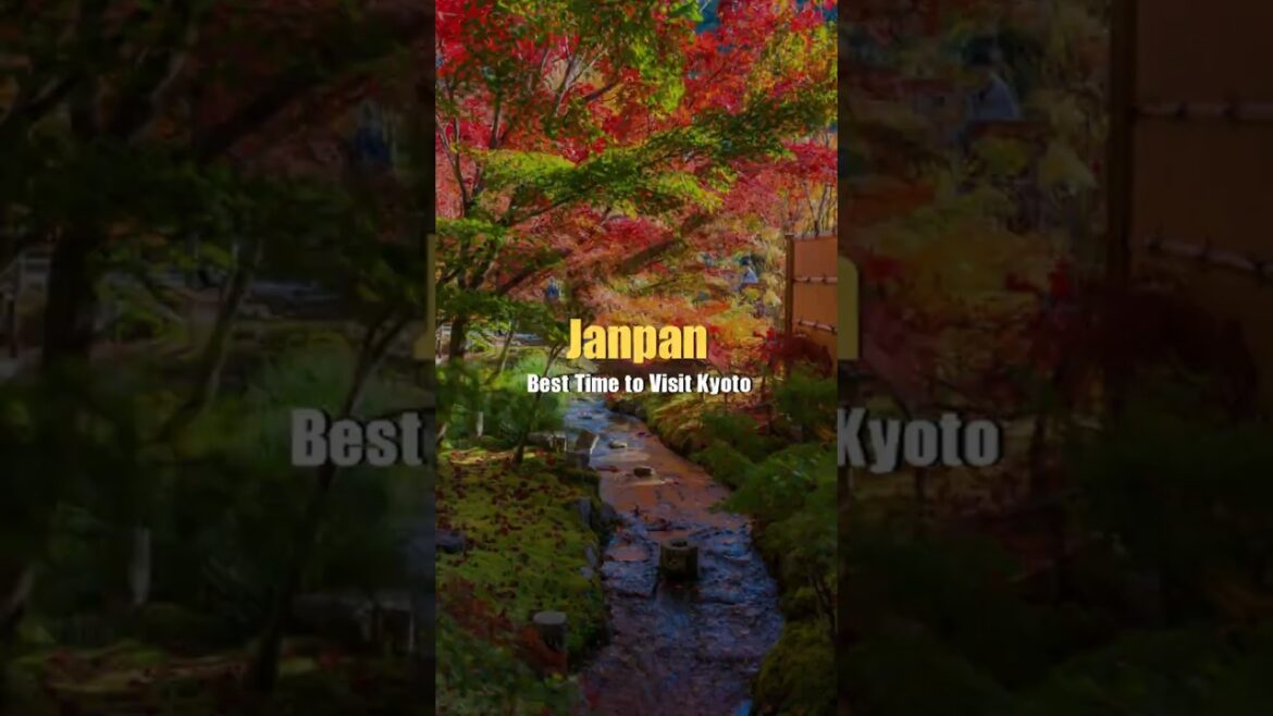 Don’t Visit Kyoto Until You Watch This (The Actually Best Time to Go) Don't Visit Kyoto Until You Watch This (The Actually Best Time to Go)