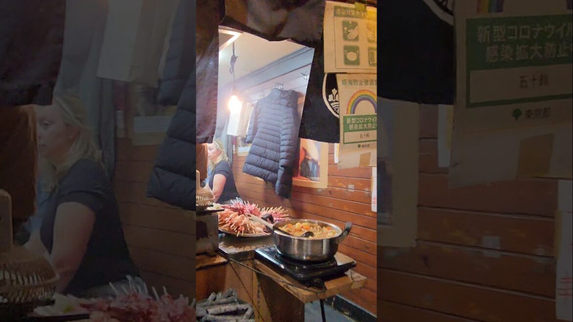 OMOIDE YOKOCHO 思い出横丁 MEMORY LANE TOKYO JAPAN FOOD ALLEY STREET FOOD JAPANESE FOODS SHINJUKU