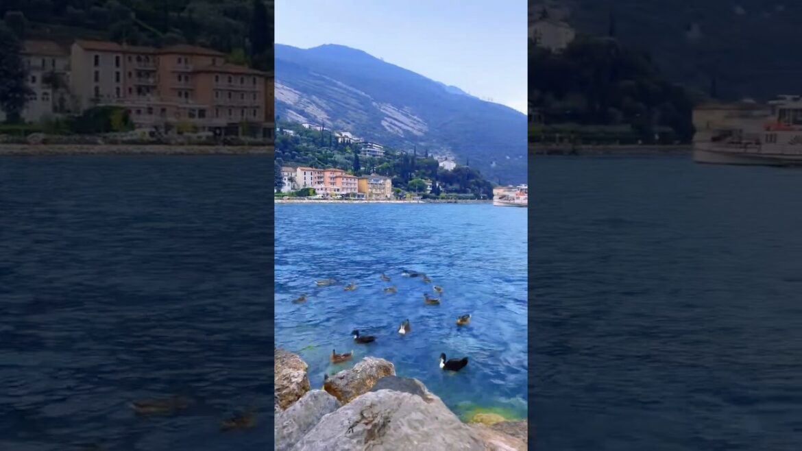 Torbole Pizza Stop with a View ๐ฎ๐นโจ#italytravel  #travelshorts Torbole Pizza Stop with a View ๐ฎ๐นโจ#italytravel  #travelshorts