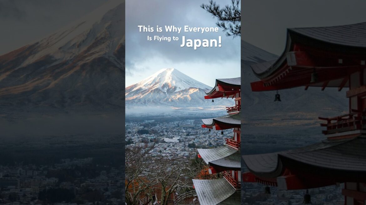 Mt. Fuji Like You’ve NEVER Seen It Before! Hidden Gems You Must Visit 🇯🇵🔥 Mt. Fuji Like You’ve NEVER Seen It Before! Hidden Gems You Must Visit 🇯🇵🔥
